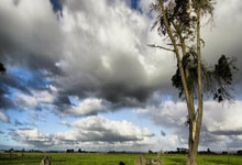 球友会官网：[NBA]福克斯突击篮下 克里斯蒂送钉板大帽.