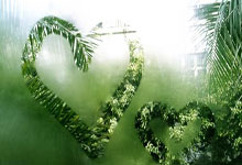 球友会官网：[高尔夫]亚巡国际系列赛澳门站3月打响 前三可获大满贯资格.