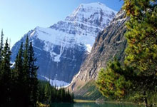 短道速滑——世锦赛：男子500米A组决赛赛况.